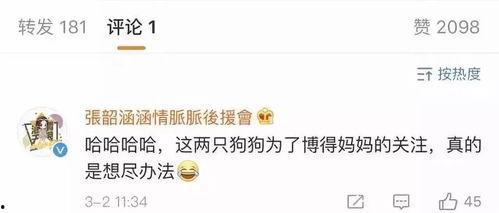 娱乐吃瓜博主起名大全