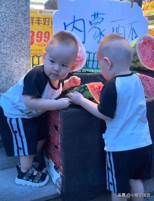 娱乐吃瓜双胞胎,揭秘娱乐圈背后的秘密